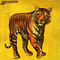 Speed Glue and Shinki